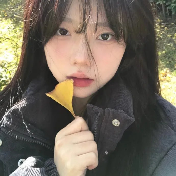 碧娜鲍许