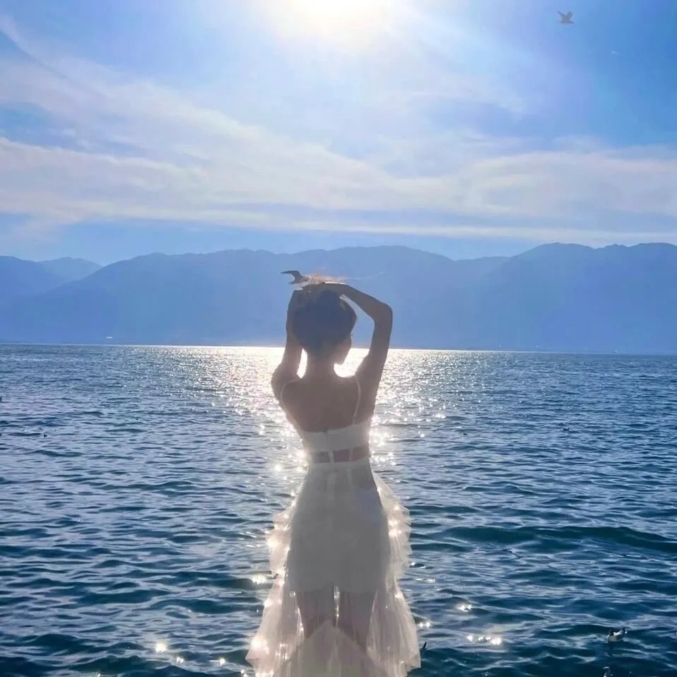 完美求婚