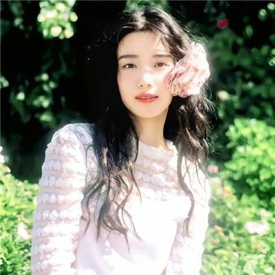 黑狐：希特勒